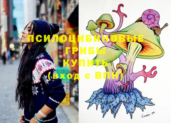 бошки Абинск